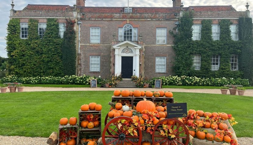 Hinton Ampner pumpkin display